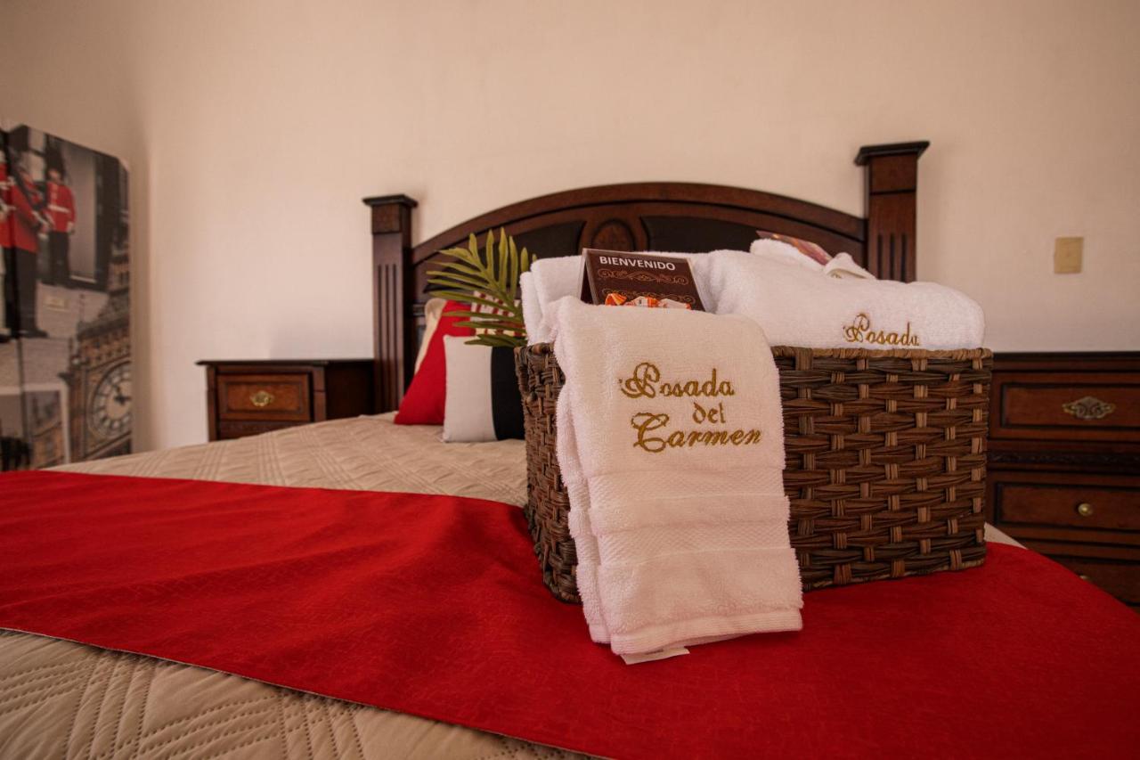 Hotel Posada Del Carmen San Luis Potosi Luaran gambar