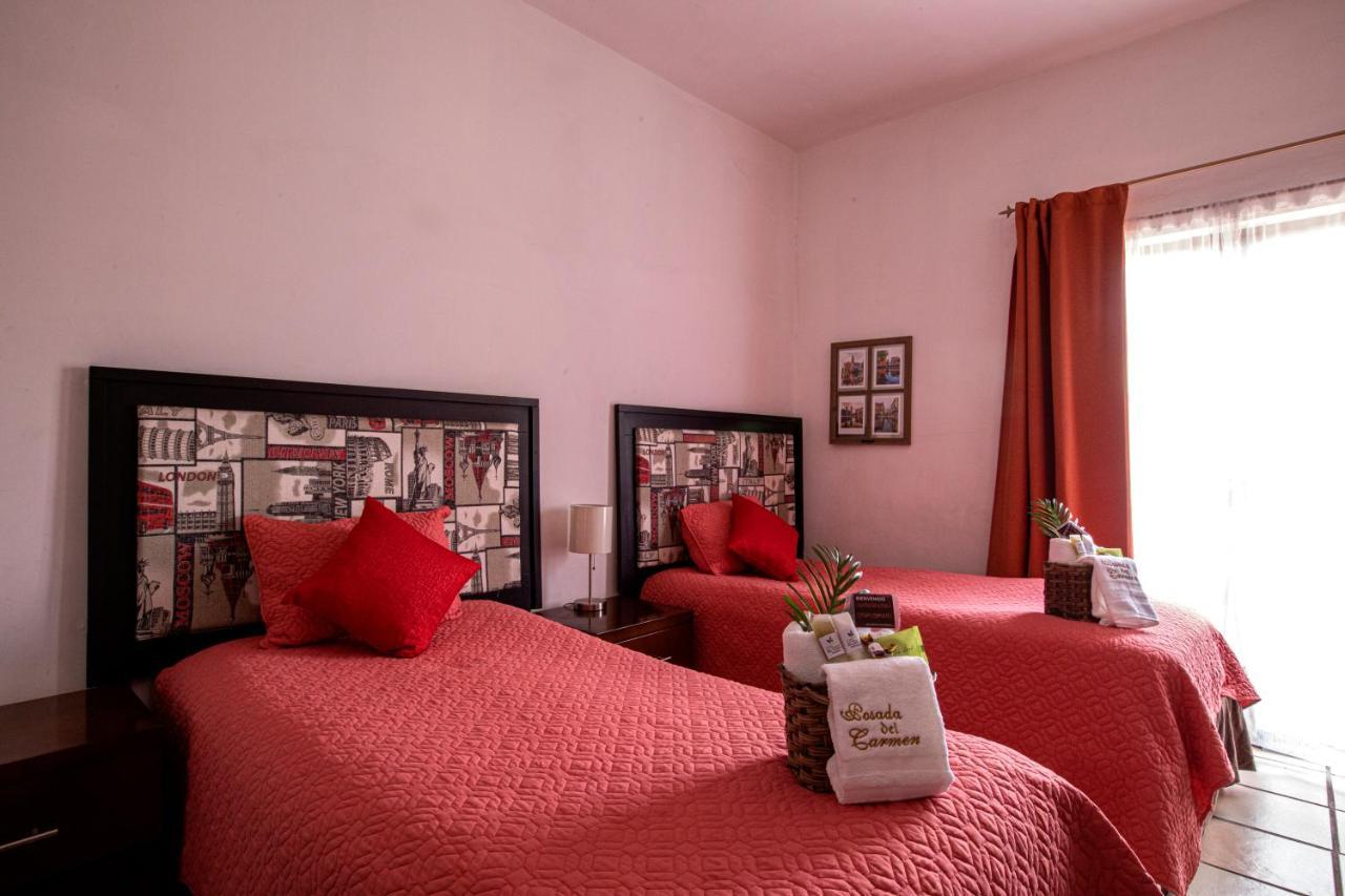 Hotel Posada Del Carmen San Luis Potosi Luaran gambar