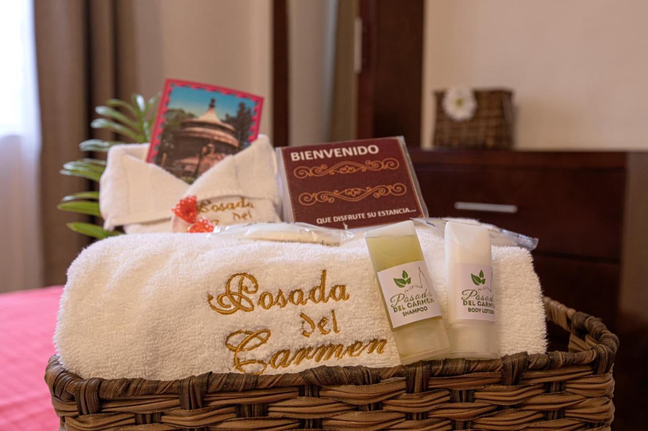 Hotel Posada Del Carmen San Luis Potosi Luaran gambar